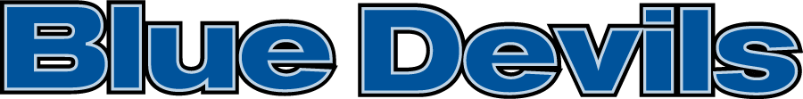 Central Connecticut Blue Devils 2000-2011 Wordmark Logo v3 diy iron on heat transfer